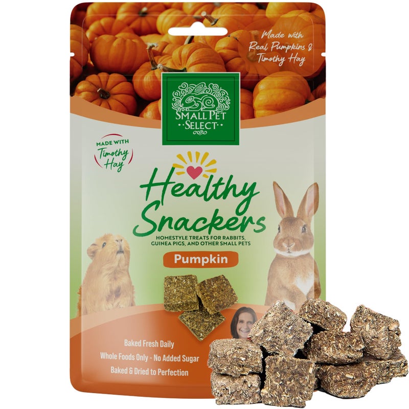Small Pet Select - Healthy Snackers - Pumpkin - Image 1